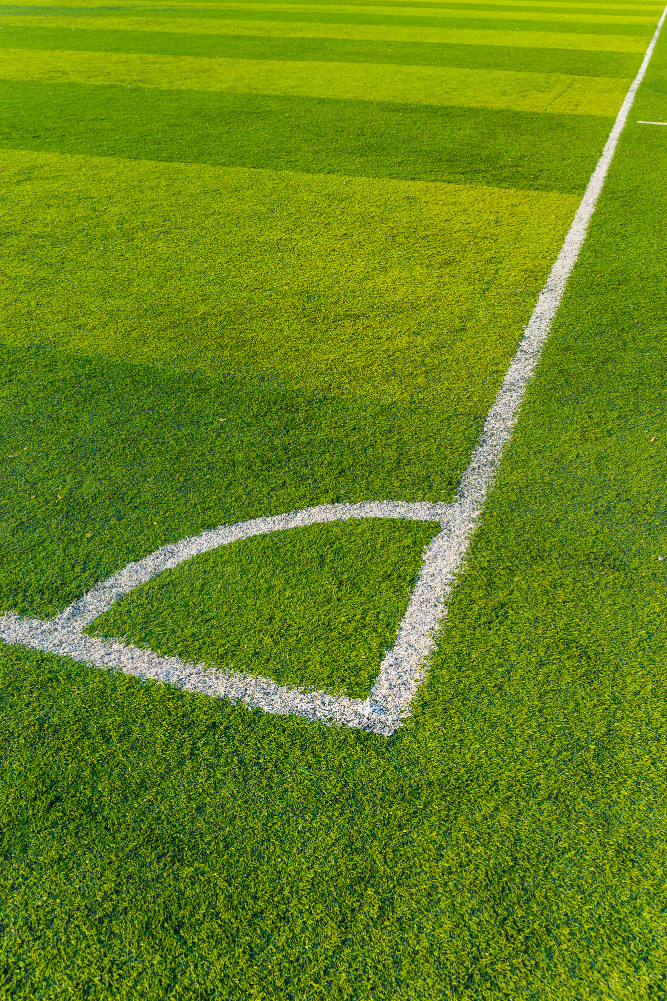 Artificial Turf on a Sports Field