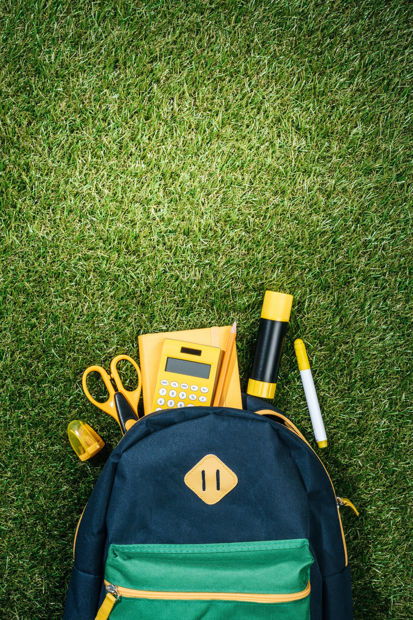 flat lay with arranged backpack and stationery on green grass